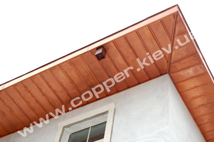 ��������� ����